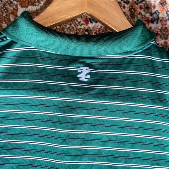 IZOD Golf Polo Shirt Mens XX-Large Green White Stripe Short Sleeves - Picture 7 of 10